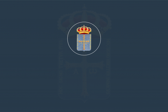 Concesión de la Medalla de Asturias a S.A.R. la Princesa de Asturias